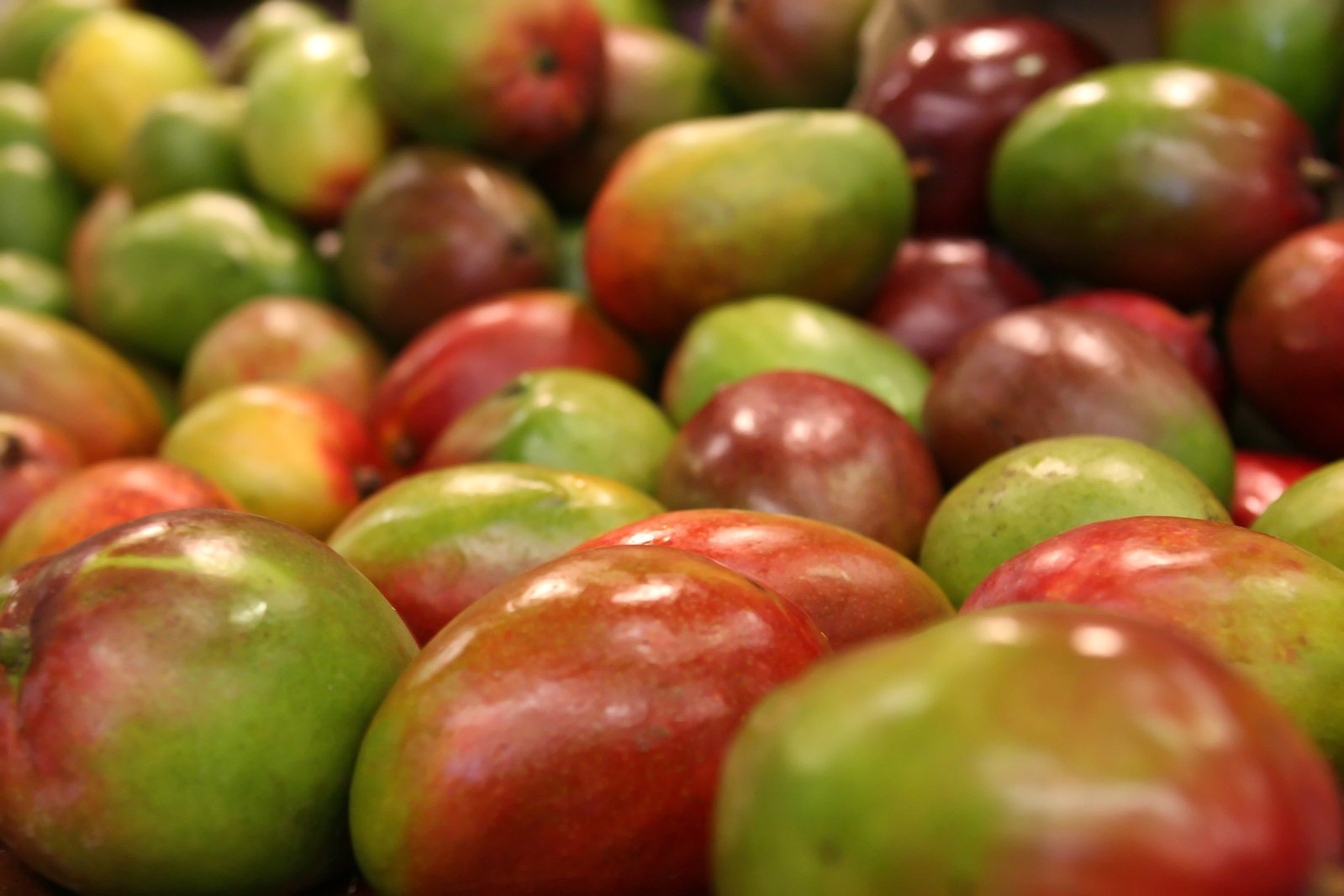 green and red apples stacked in rows on display