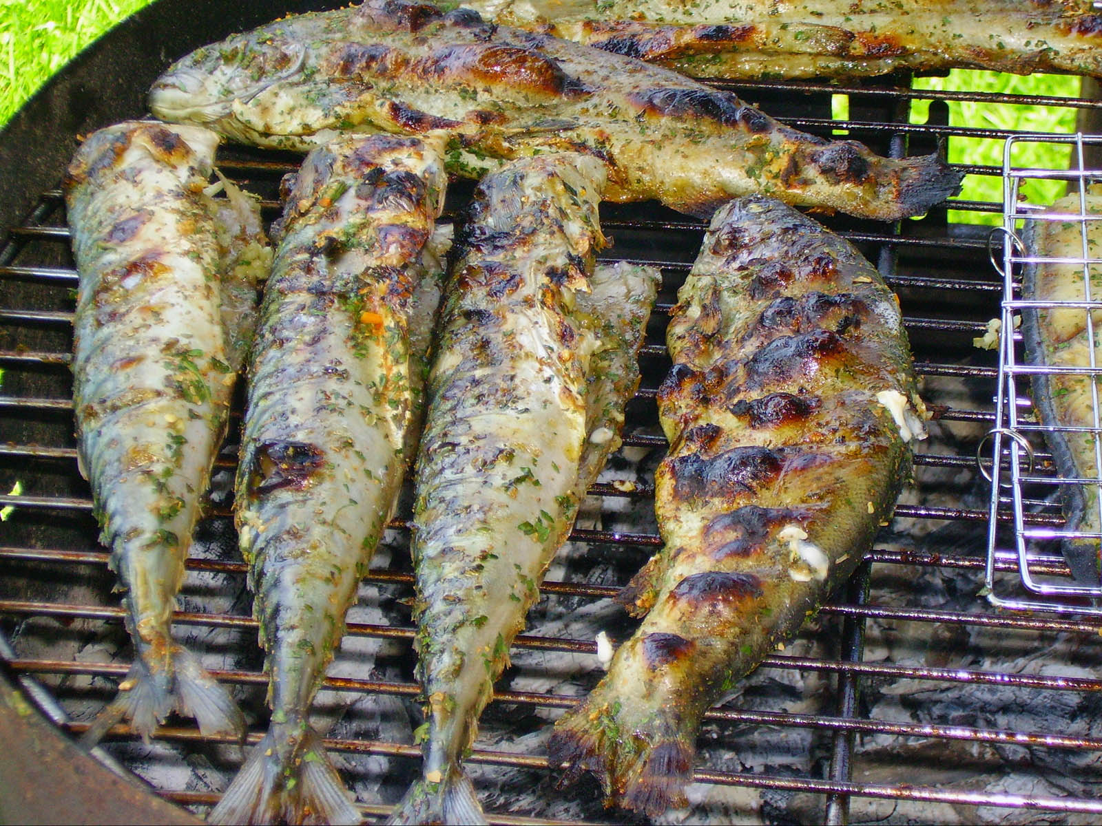 a large grill with grilled fish on it