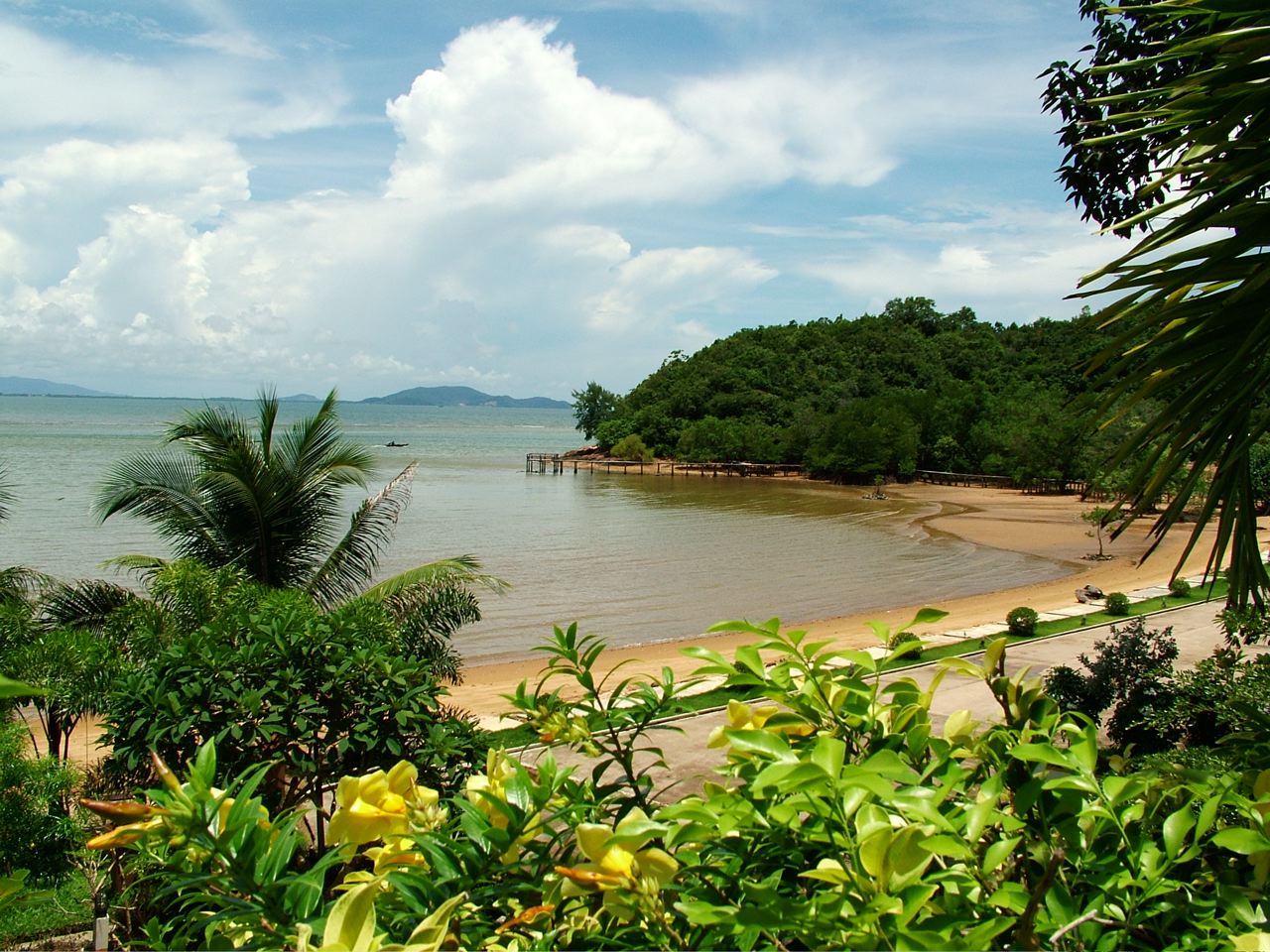 a scenic view of a sandy beach surrounded by greenery
