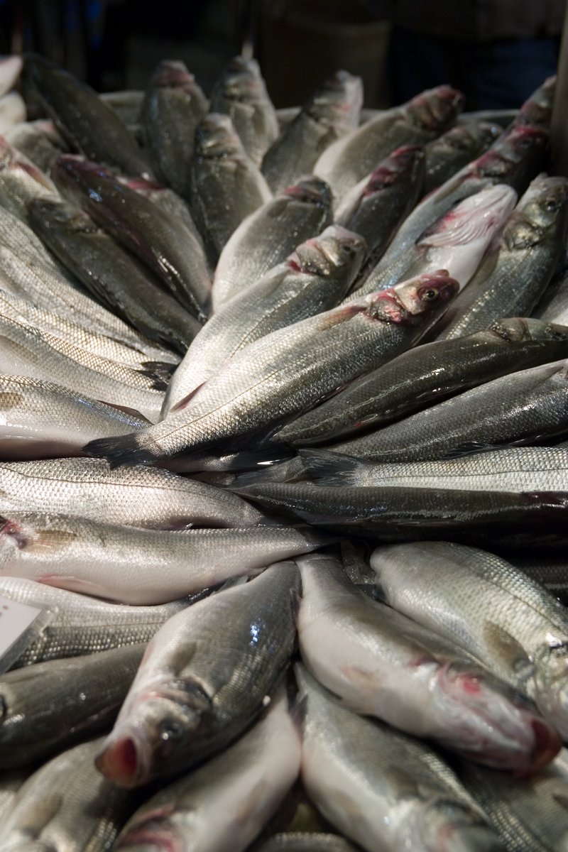 several pieces of fish that are cut and are ready for cooking