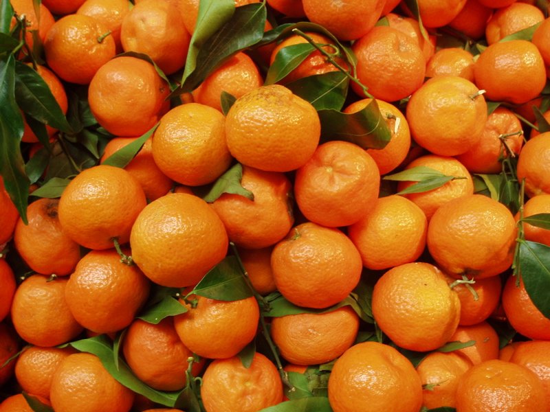 large group of oranges with green leaves