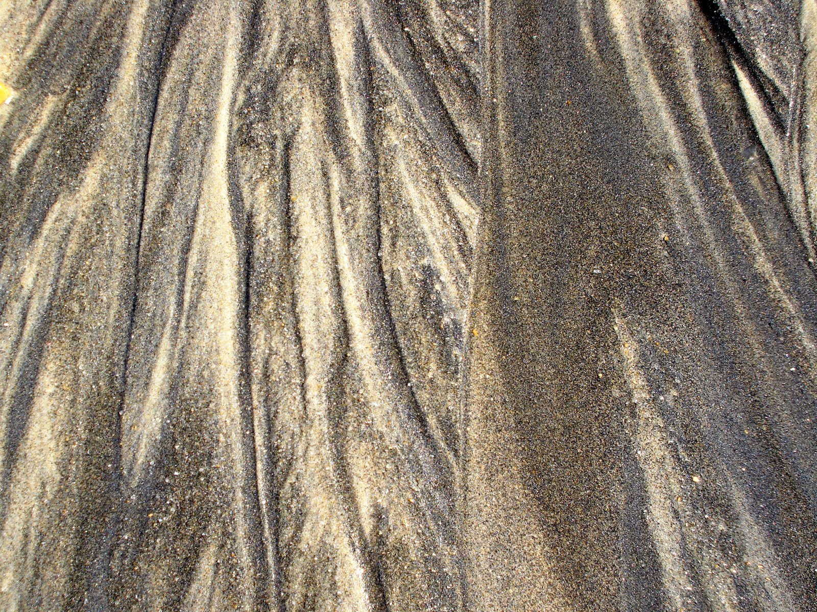 a close up s of dirt with grass and trees in the background