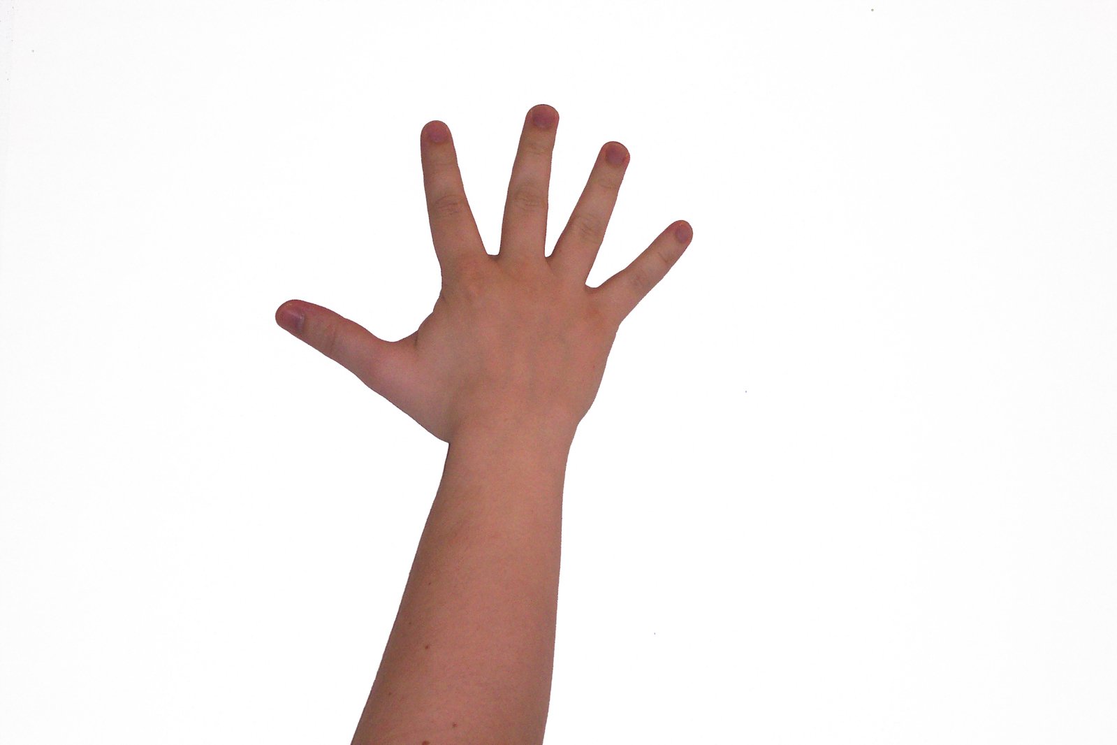 a person's hand reaches for soing white background