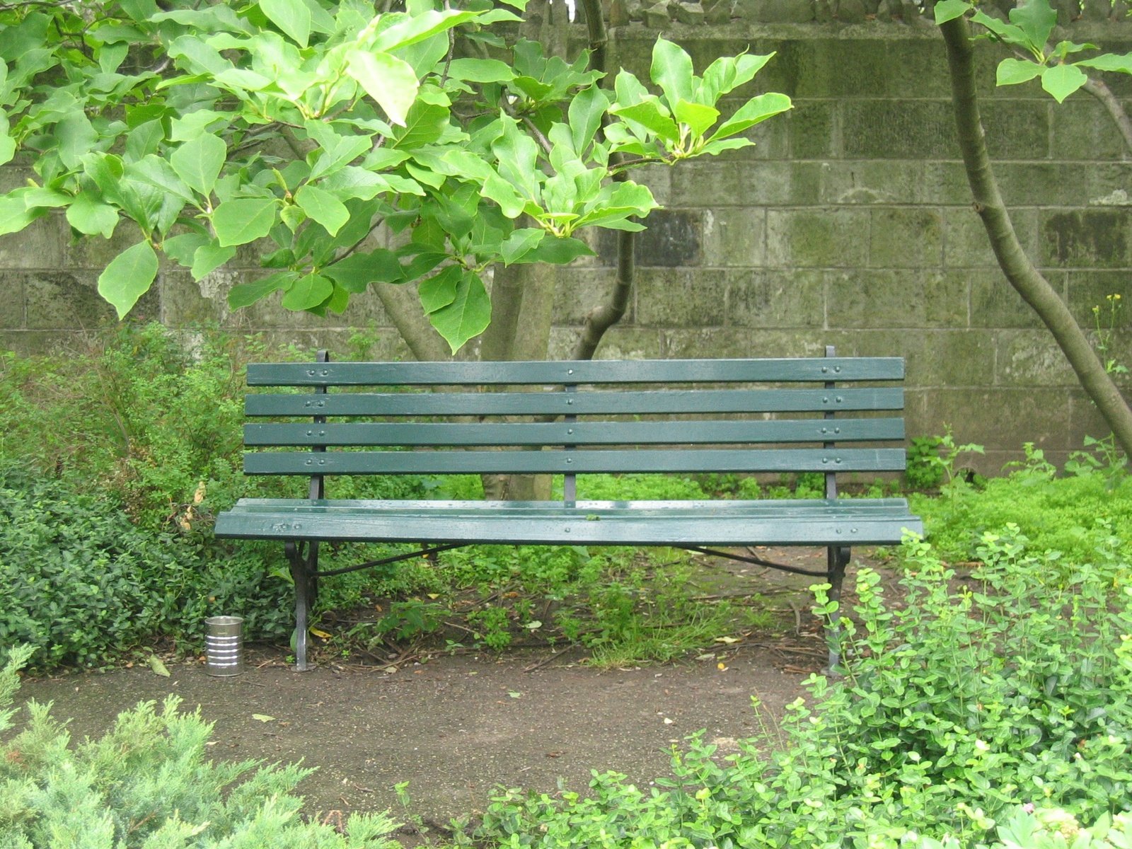 a green bench and bushes in a park