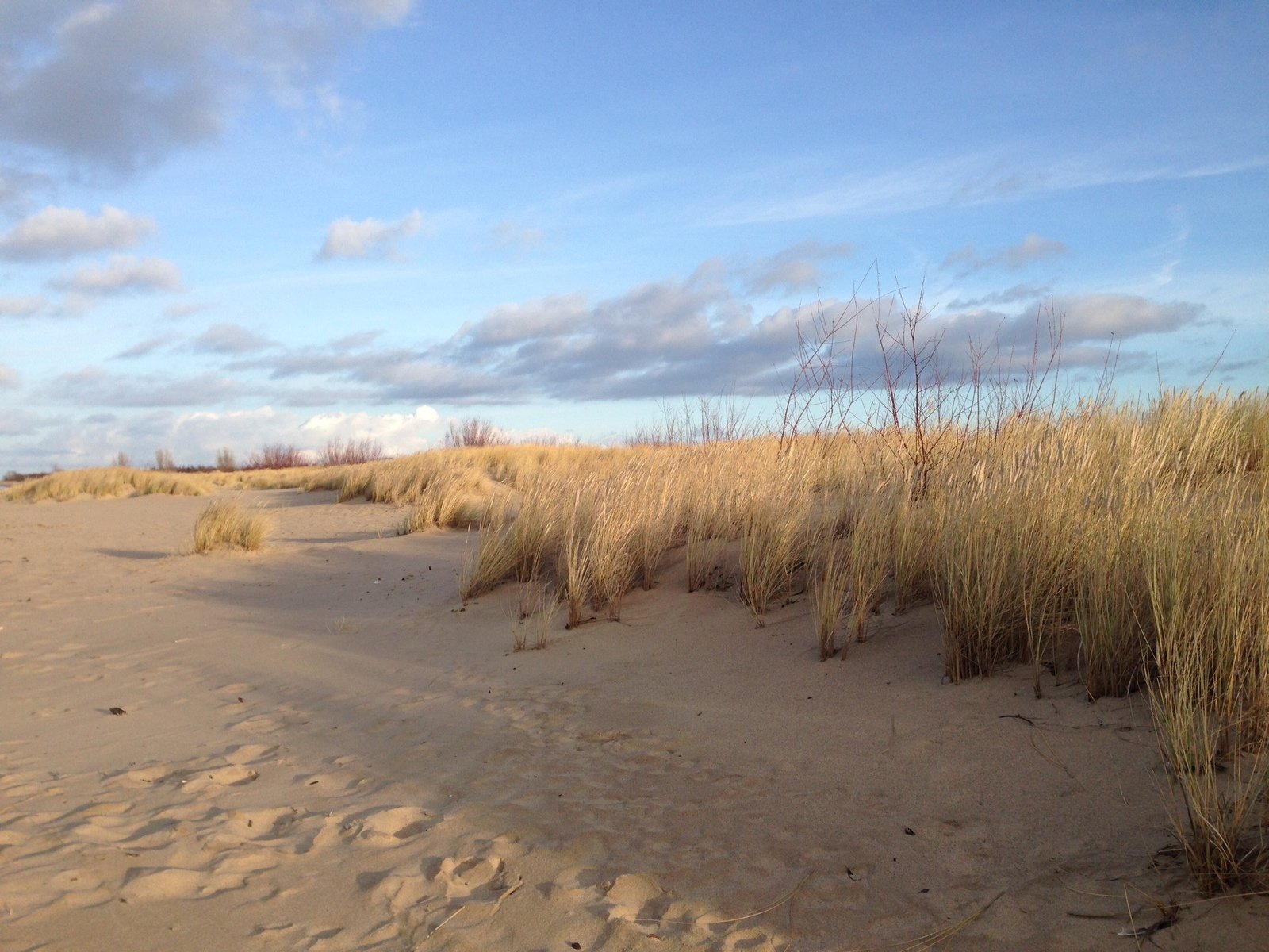 a path that is very wide in the sand