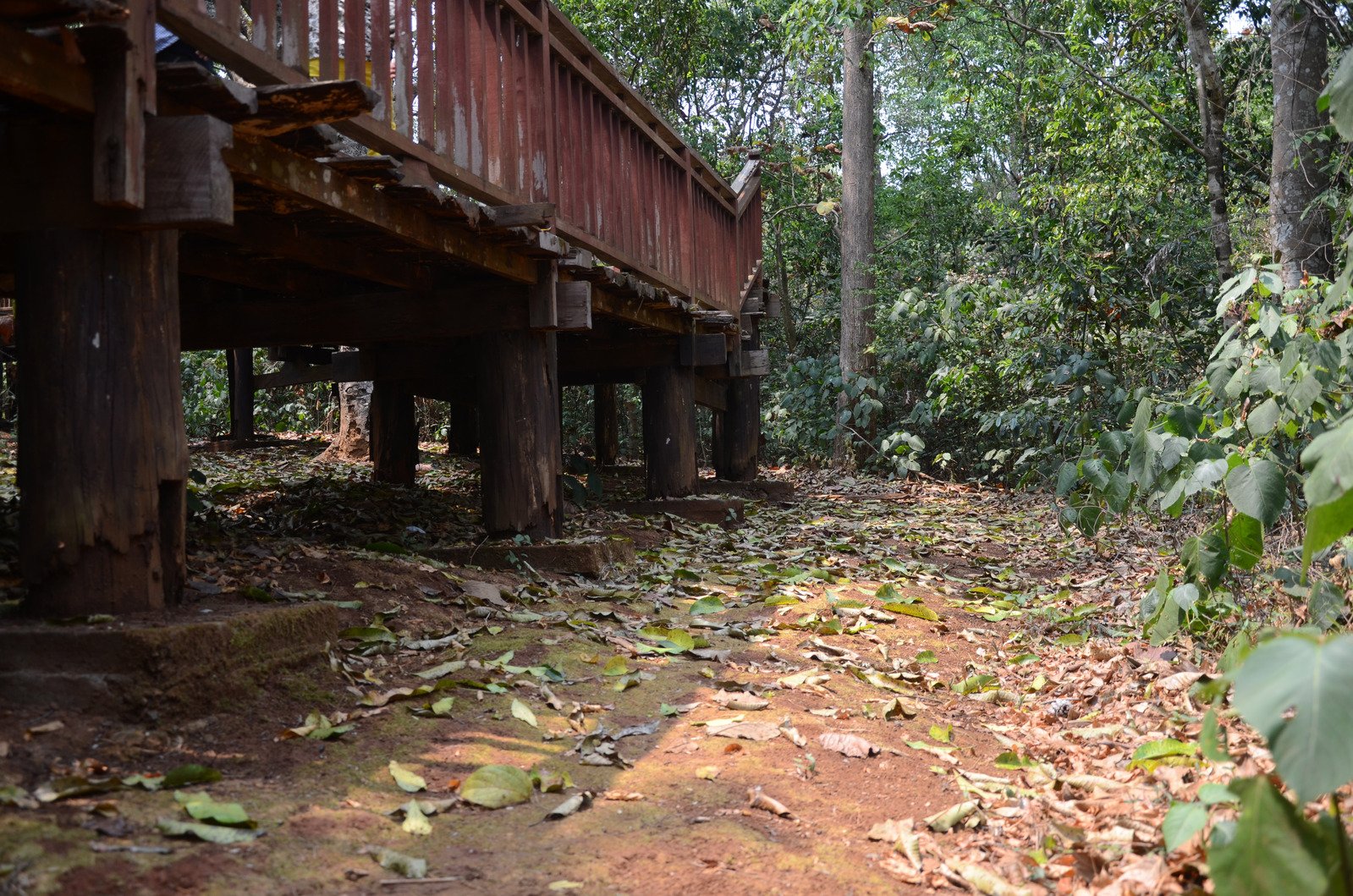 a view of a covered bridge from the ground