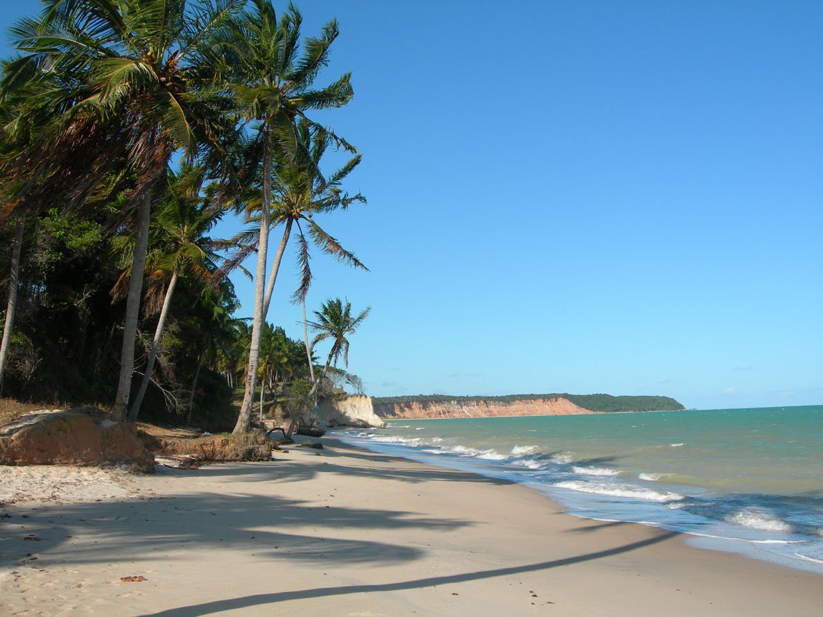 a very long beach with palm trees next to it