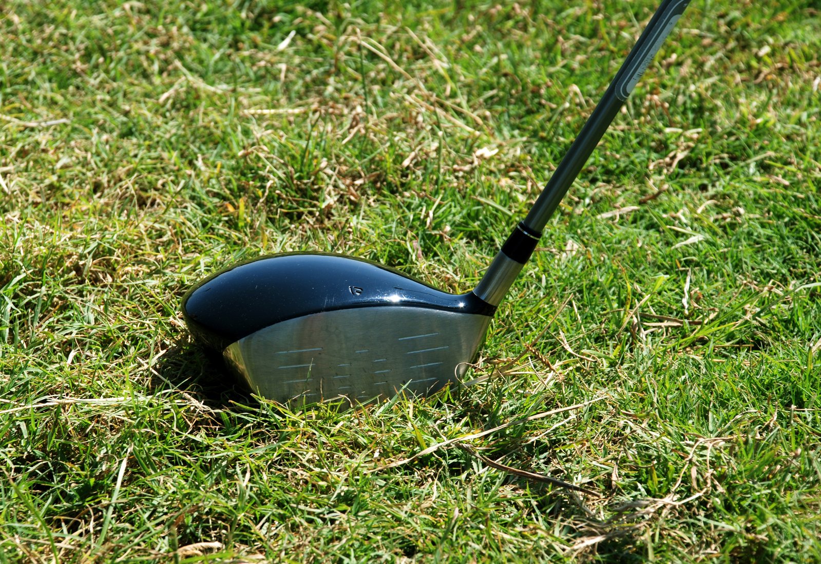 a small golf putter sitting in the grass next to it's tee