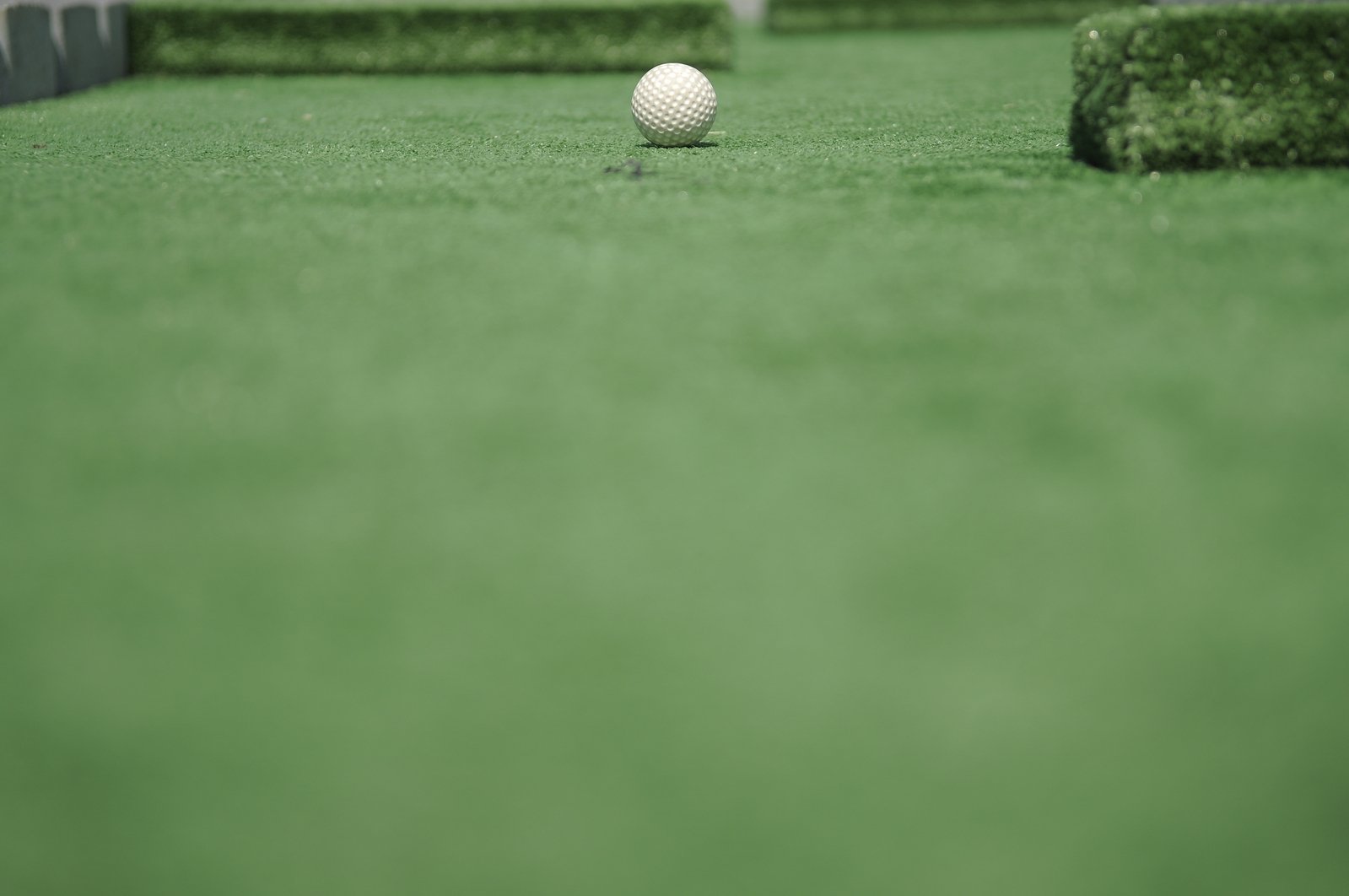 a golf ball sitting on the ground with the tees in focus