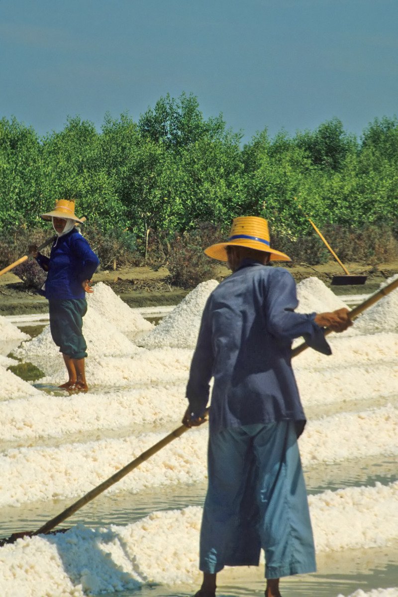 a group of people working on a field