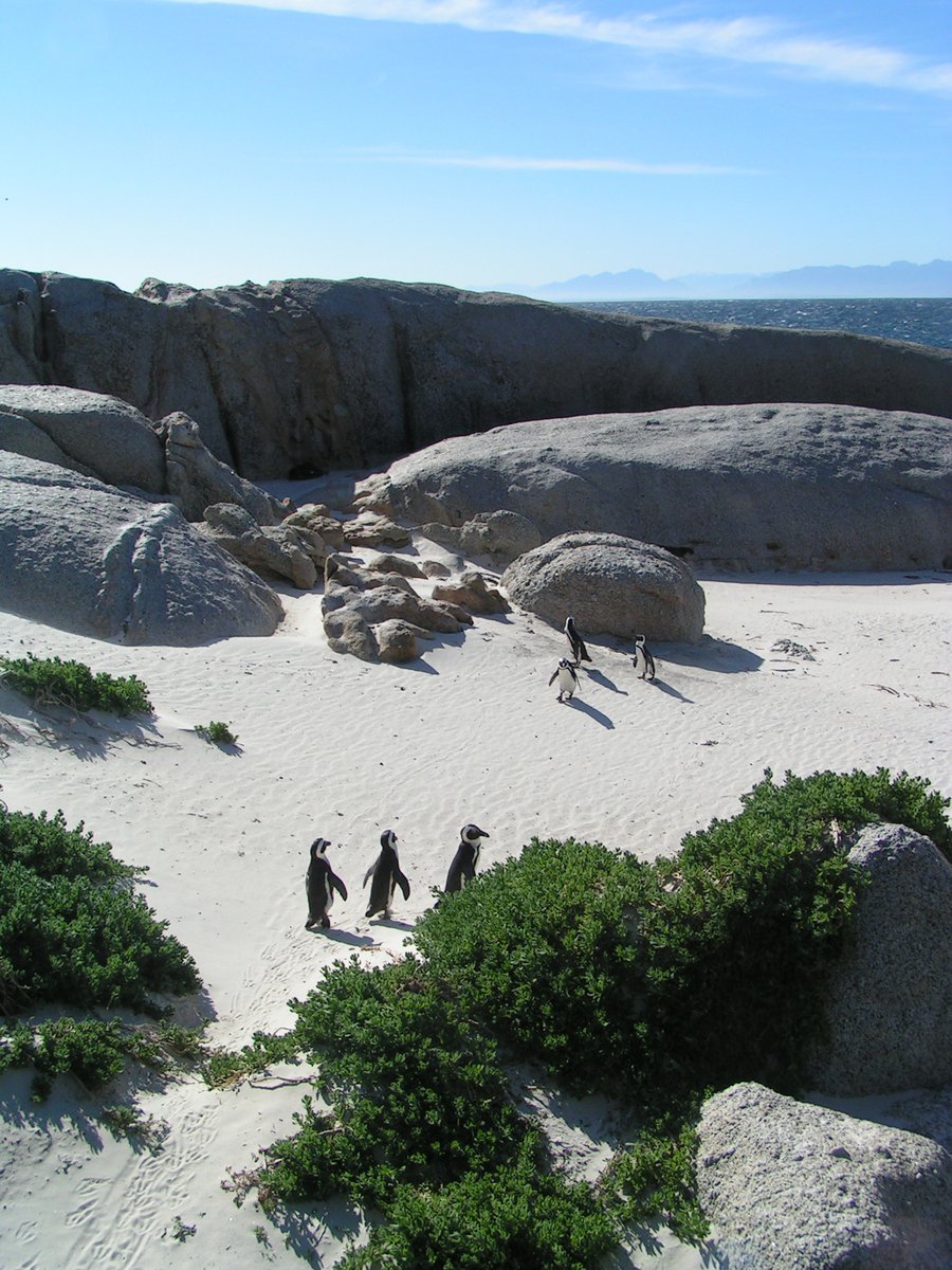 a group of people walk on the beach near rocks