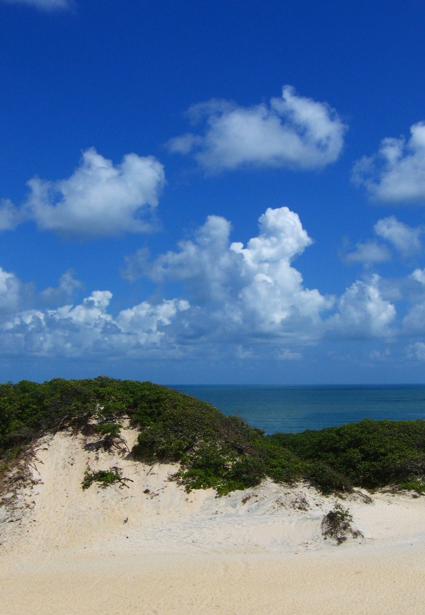 a po of an island with a white sandy beach