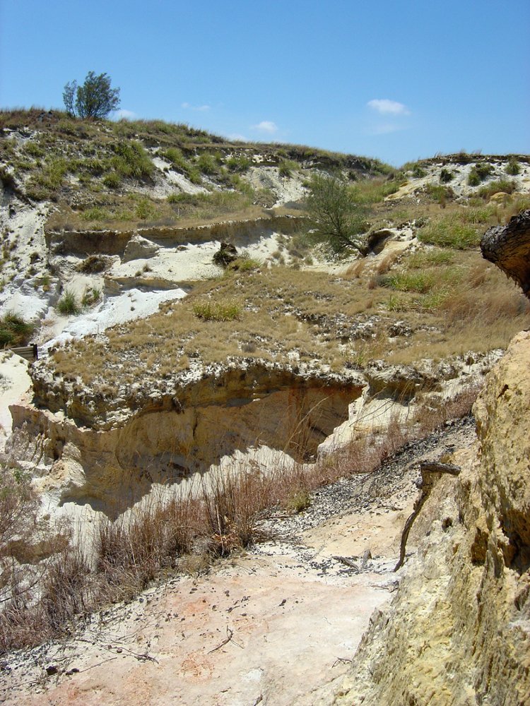 rocks and soil are seen in this picture