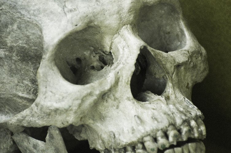 a very close up po of a human skull
