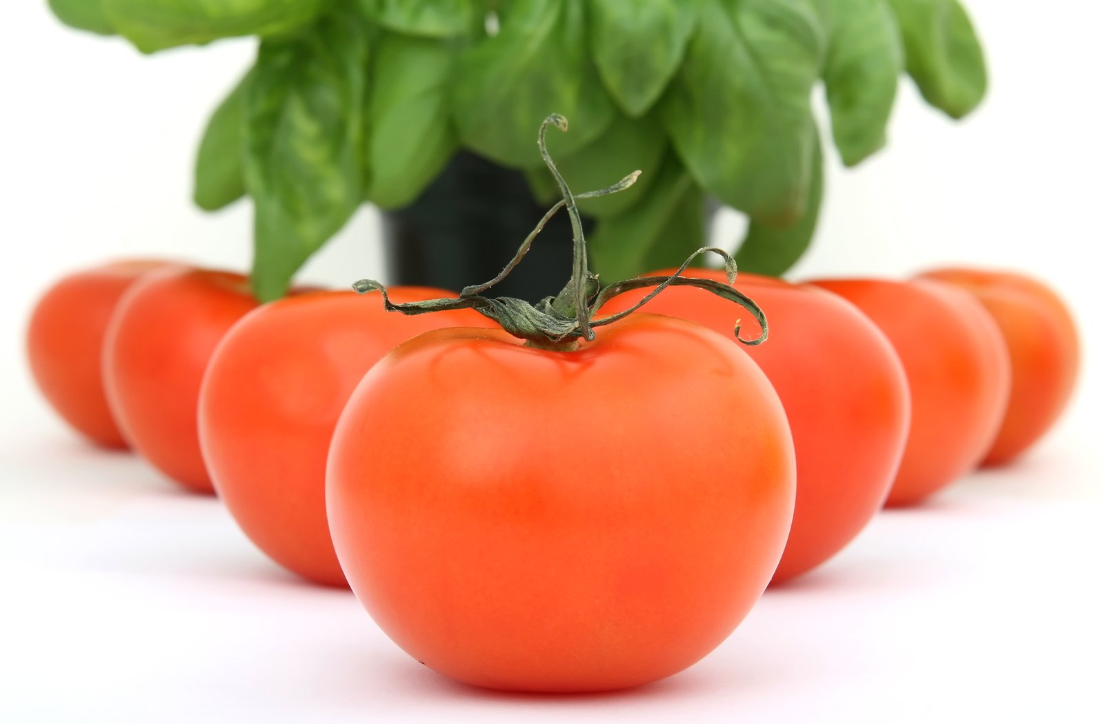 four tomato varieties arranged in the shape of an olive