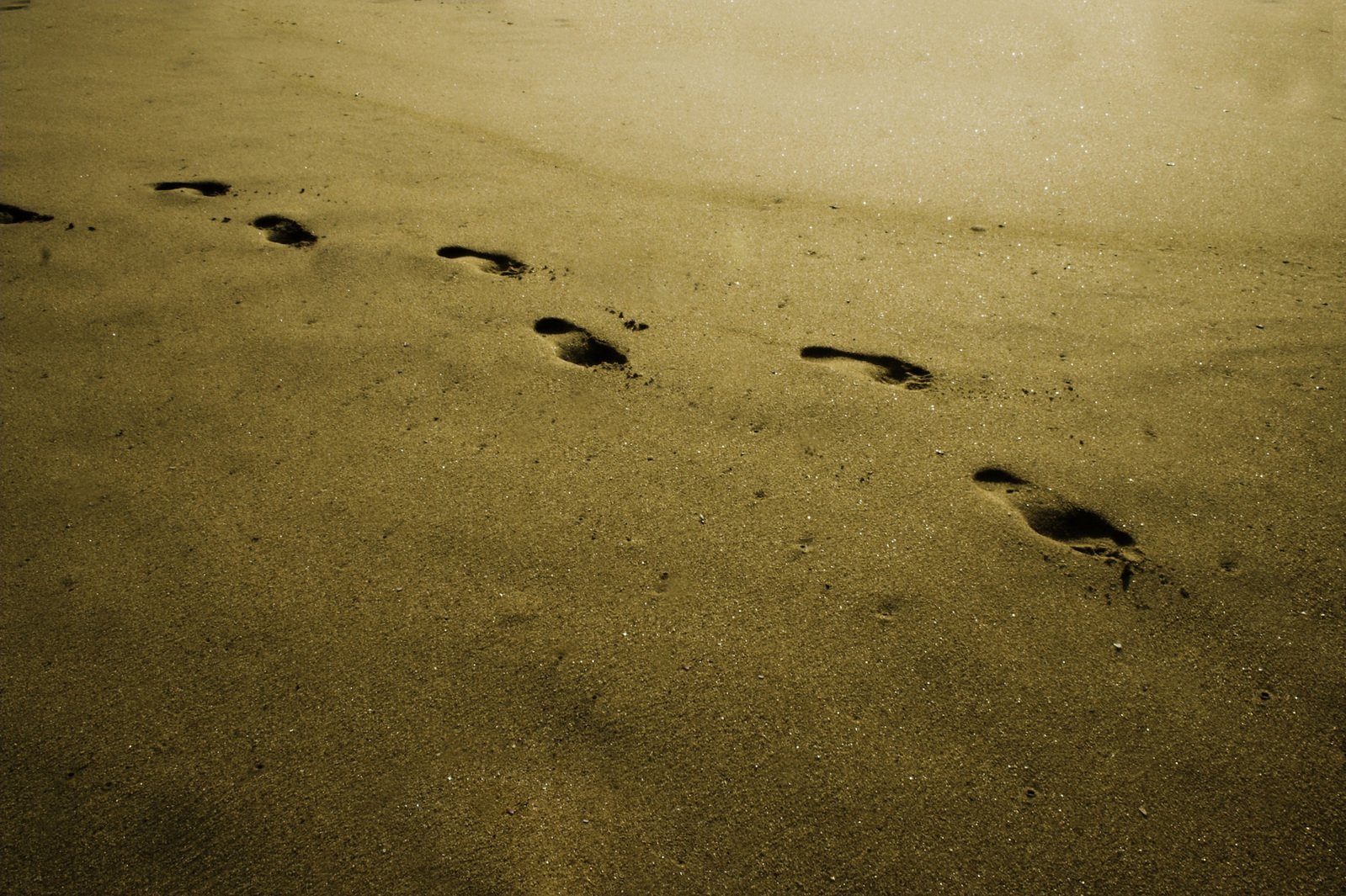 people are walking on the beach and footprints are in the sand