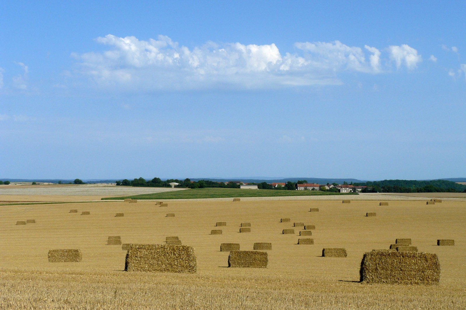 several straw bales placed out in an open field