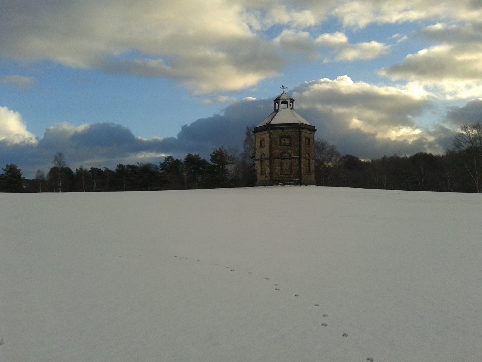 the snow covered ground is below a sky that looks out to the trees