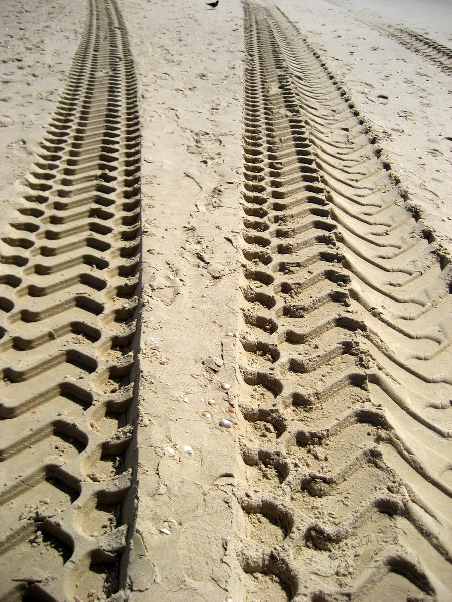tire tracks in the sand on the beach