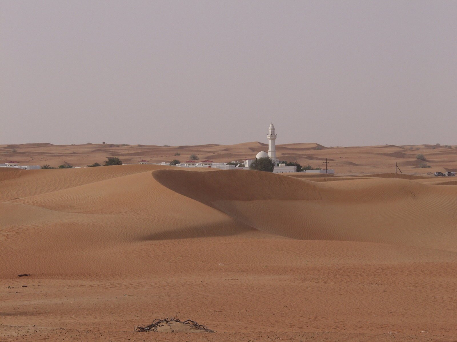 a stop sign sitting on top of a dry field