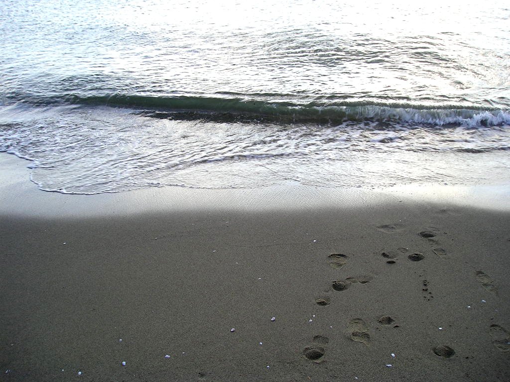 footprints are left on the sand near the ocean