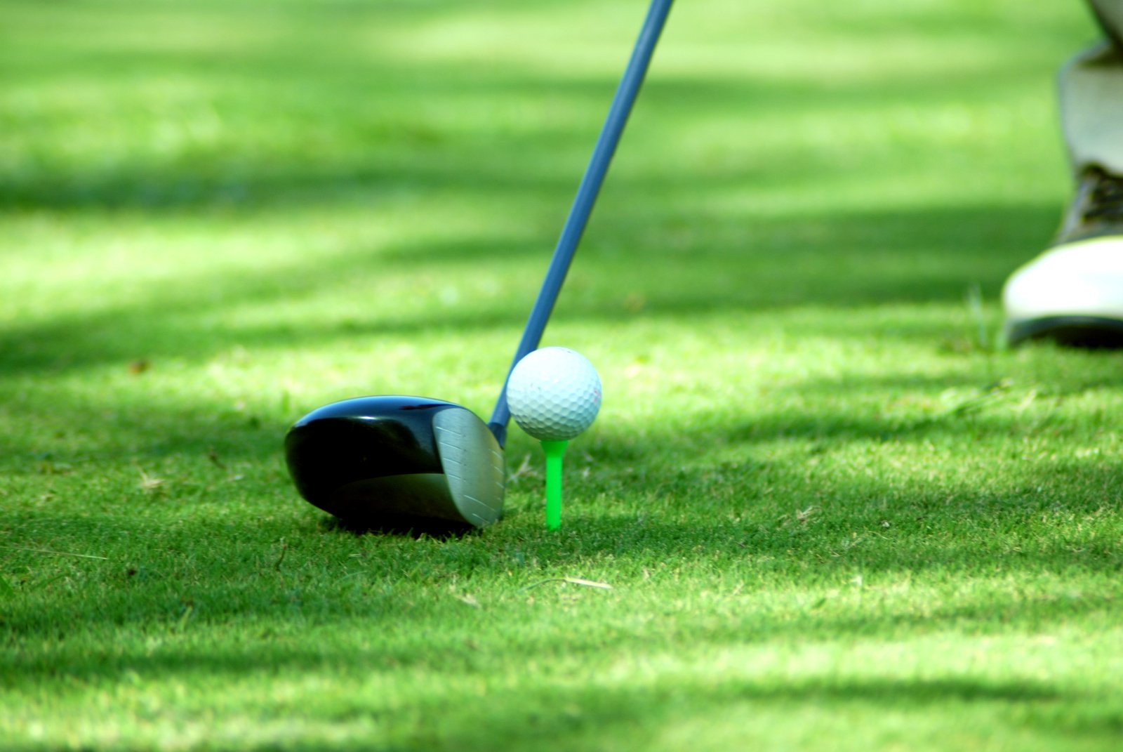 a golfer's bag with his putt in the green