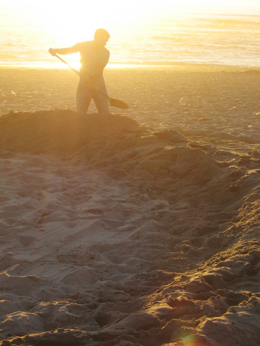 a person holding two surfboards near the beach