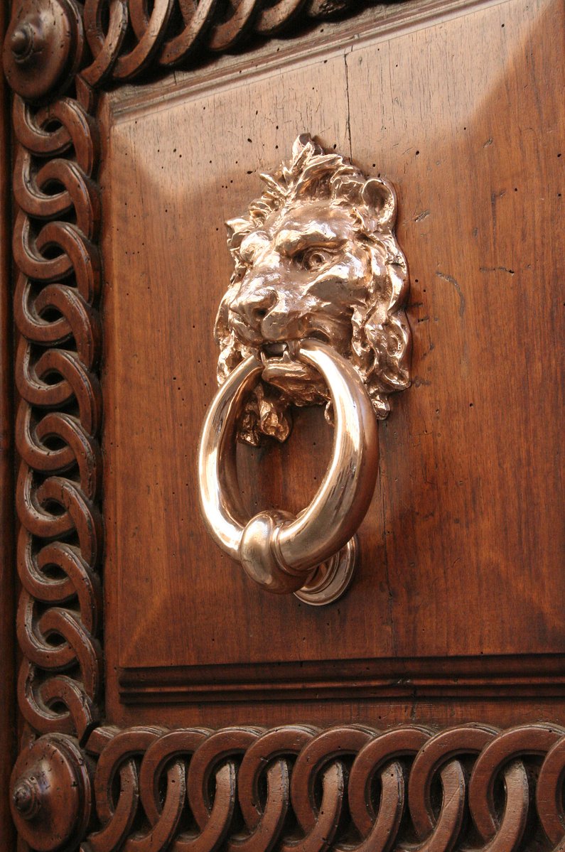 a close up of a door with a lion's head and chain