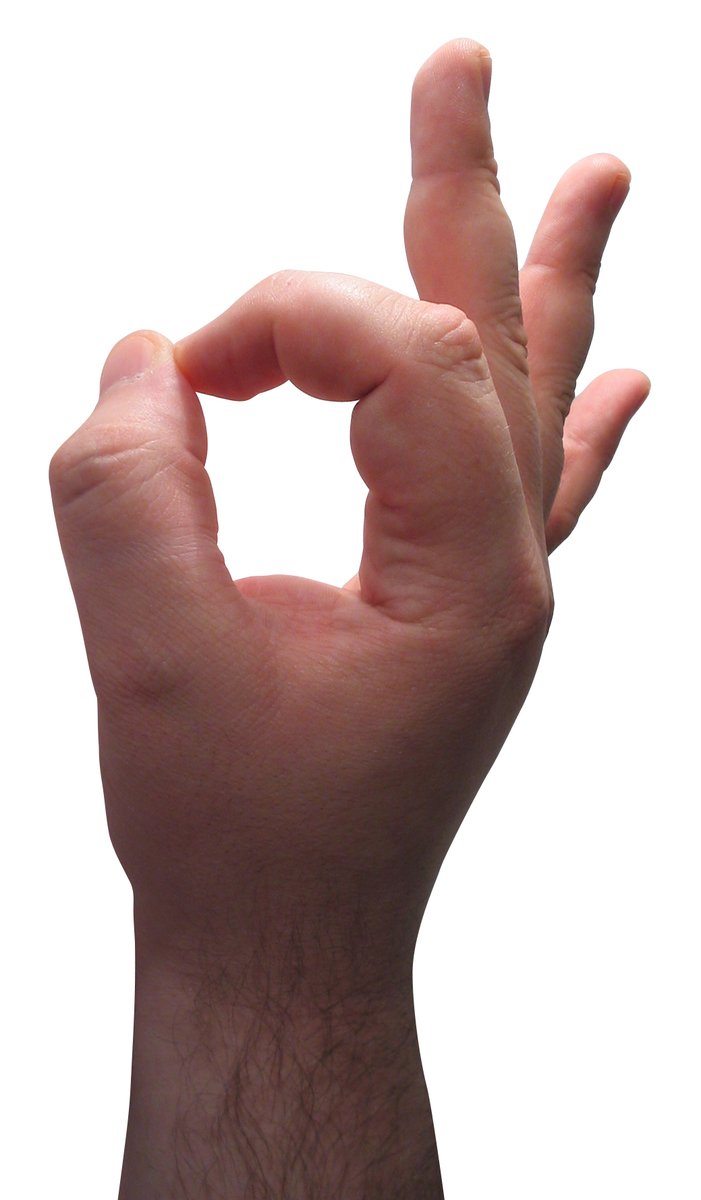 a hand with a white background holding a piece of food