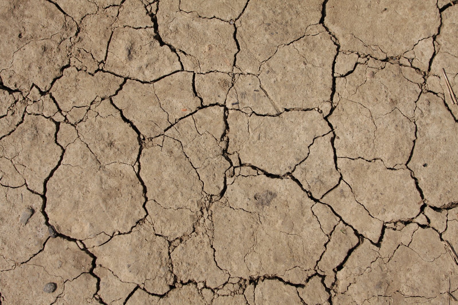 some ed dirt and rocks with small brown spots