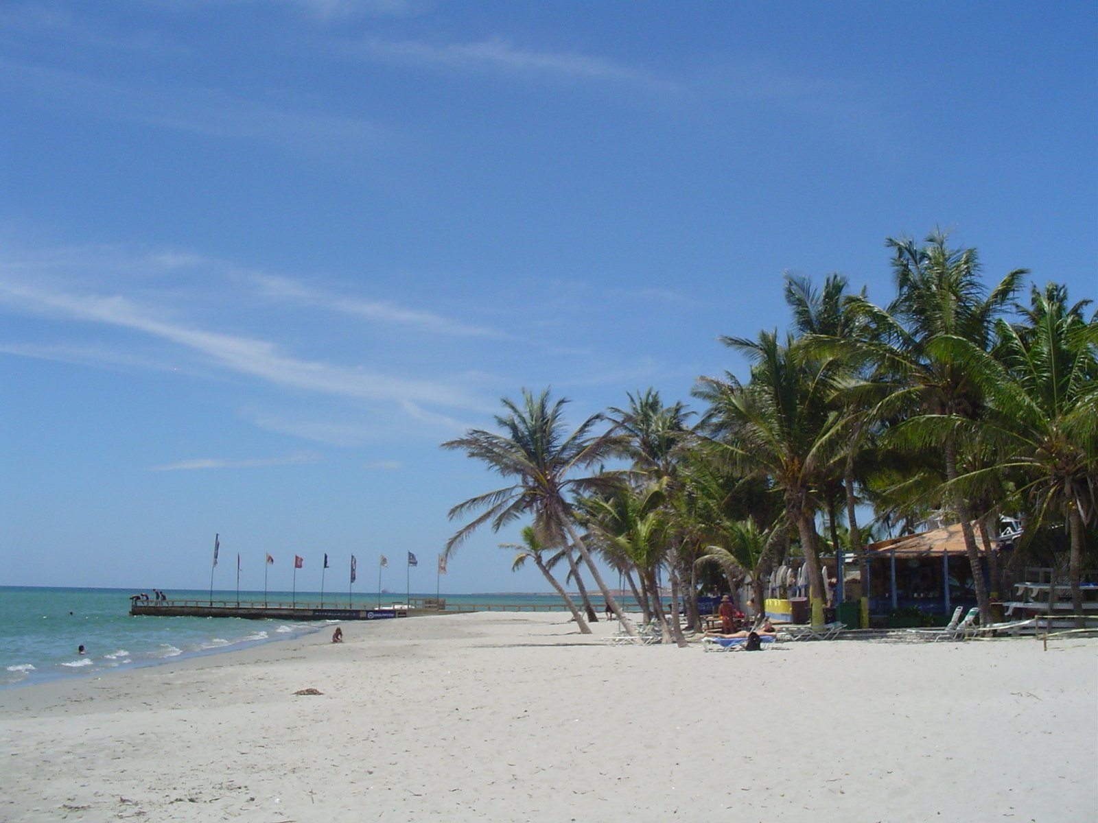 a group of palm trees standing on top of a beach