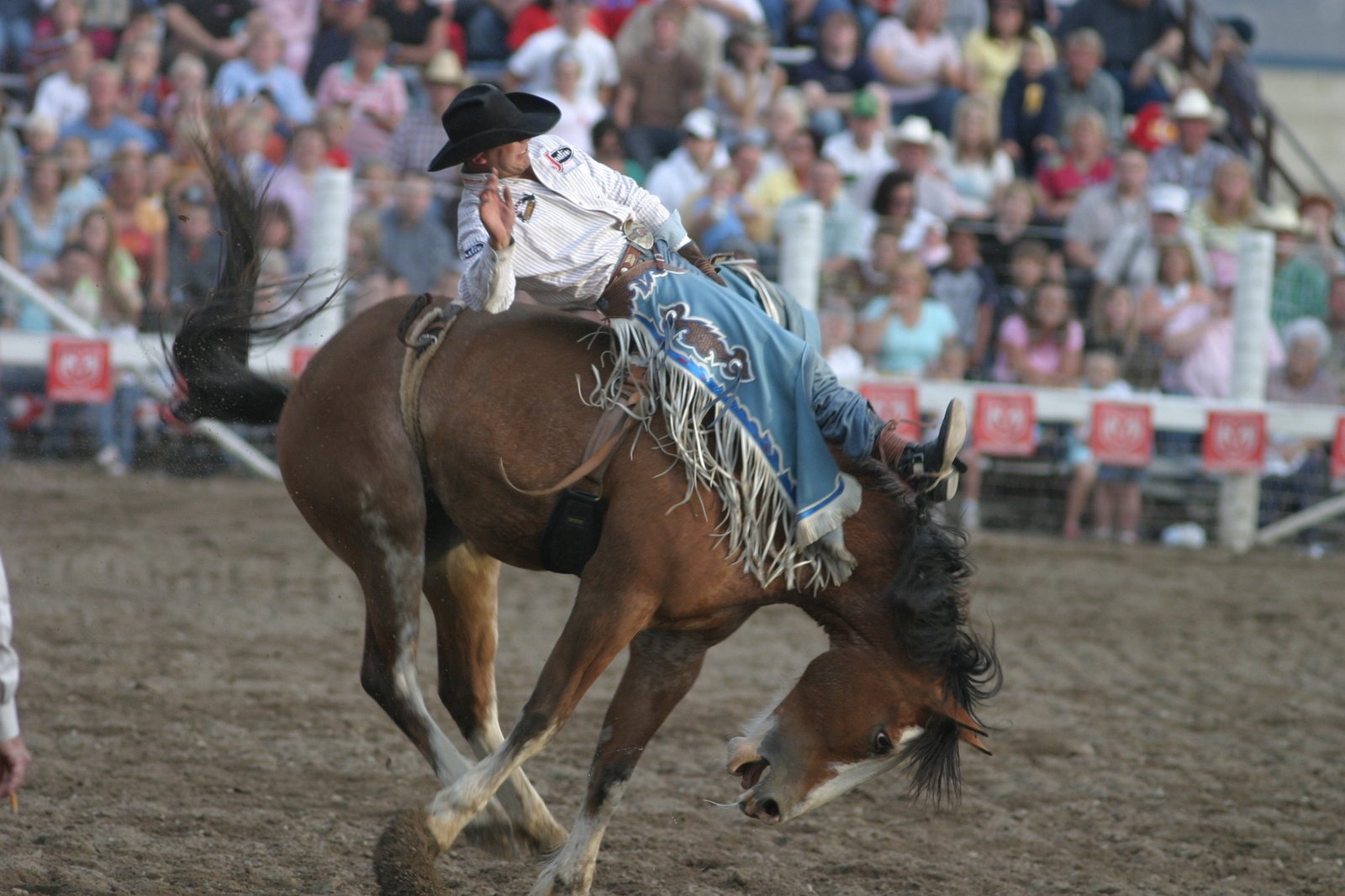 a man on top of a horse at an arena