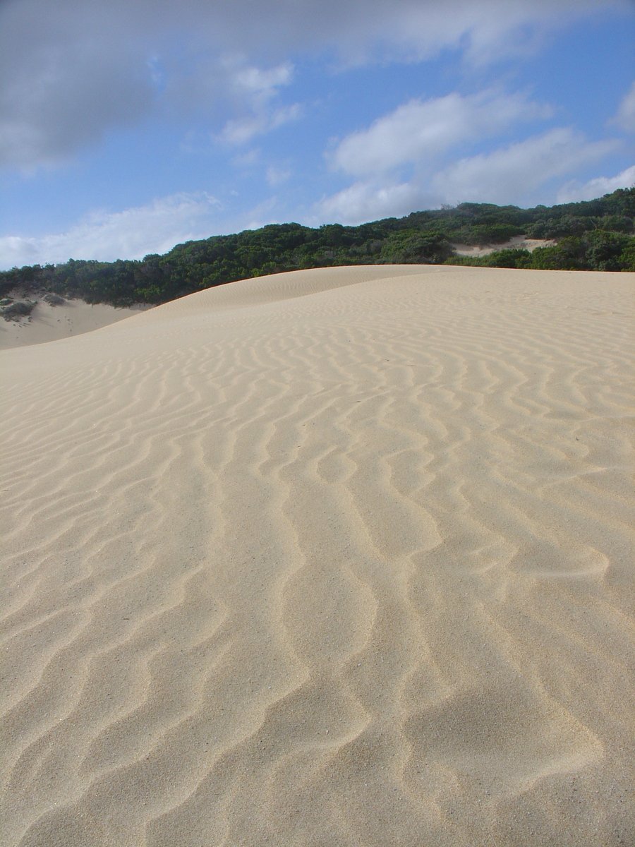 a bunch of sand dunes, in the sand