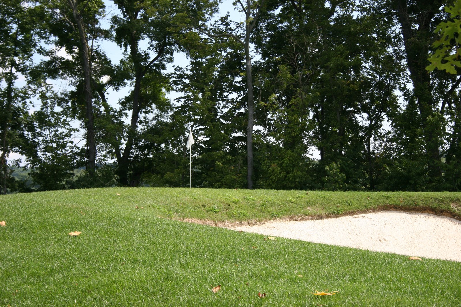 the view of a field from behind some trees