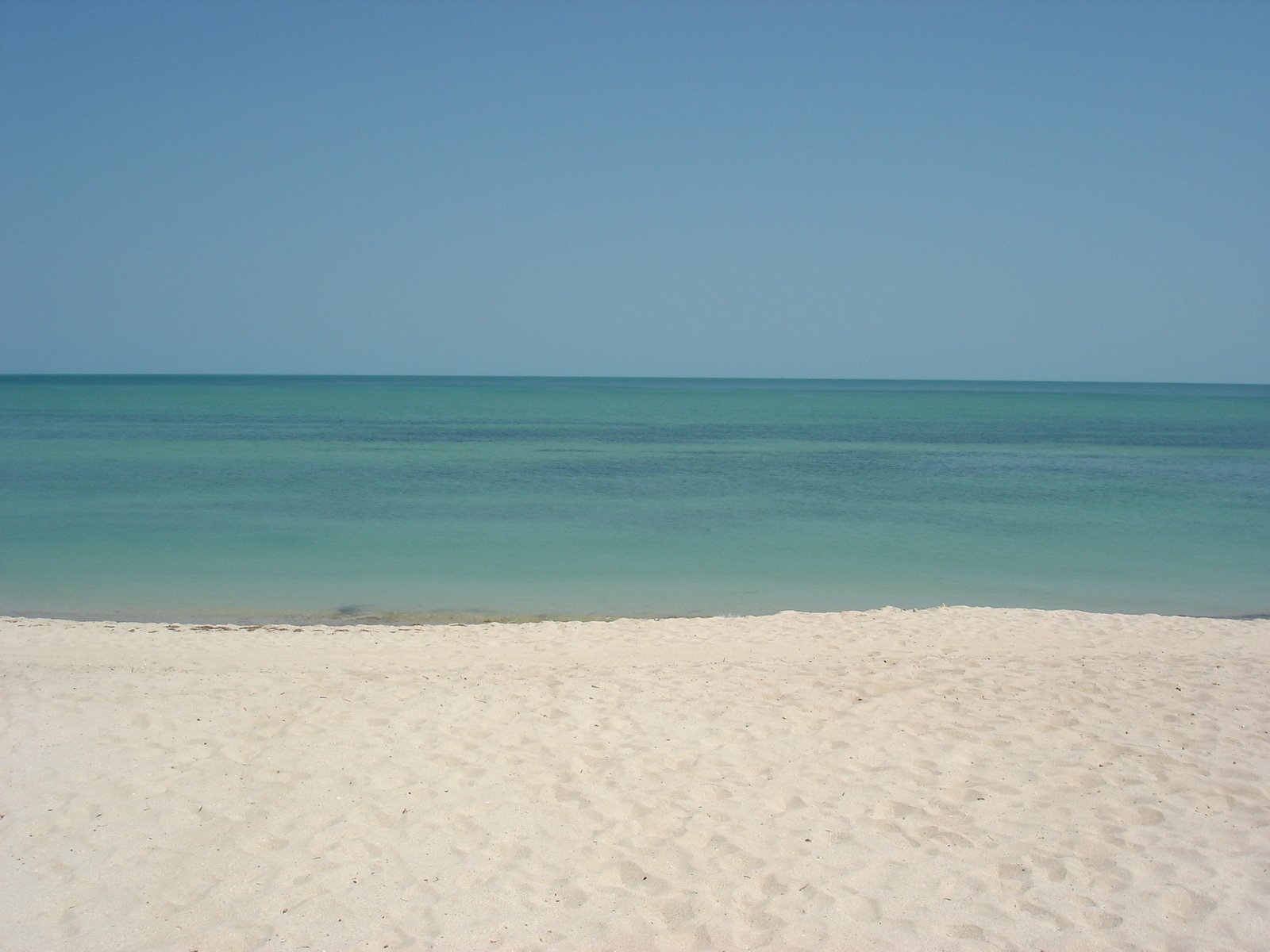 a picture of a beach with blue ocean in the background