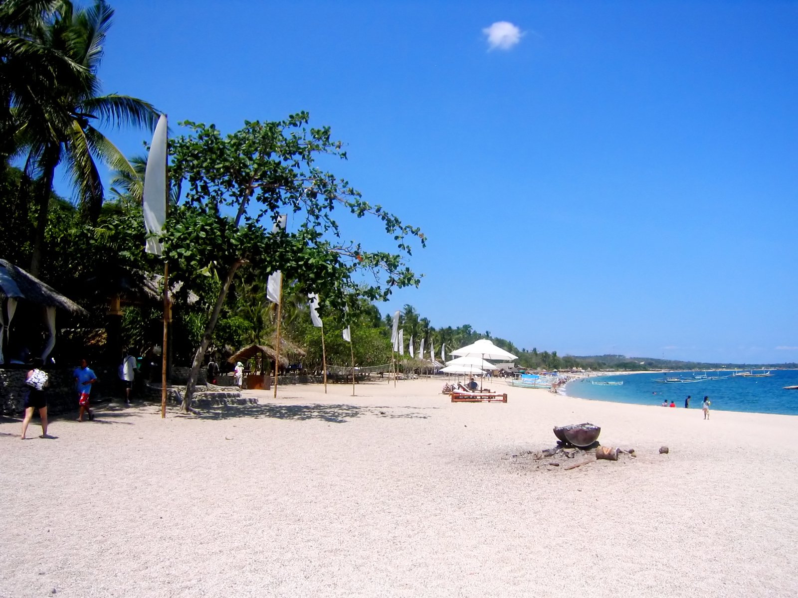 a beach with several palm trees and people walking around