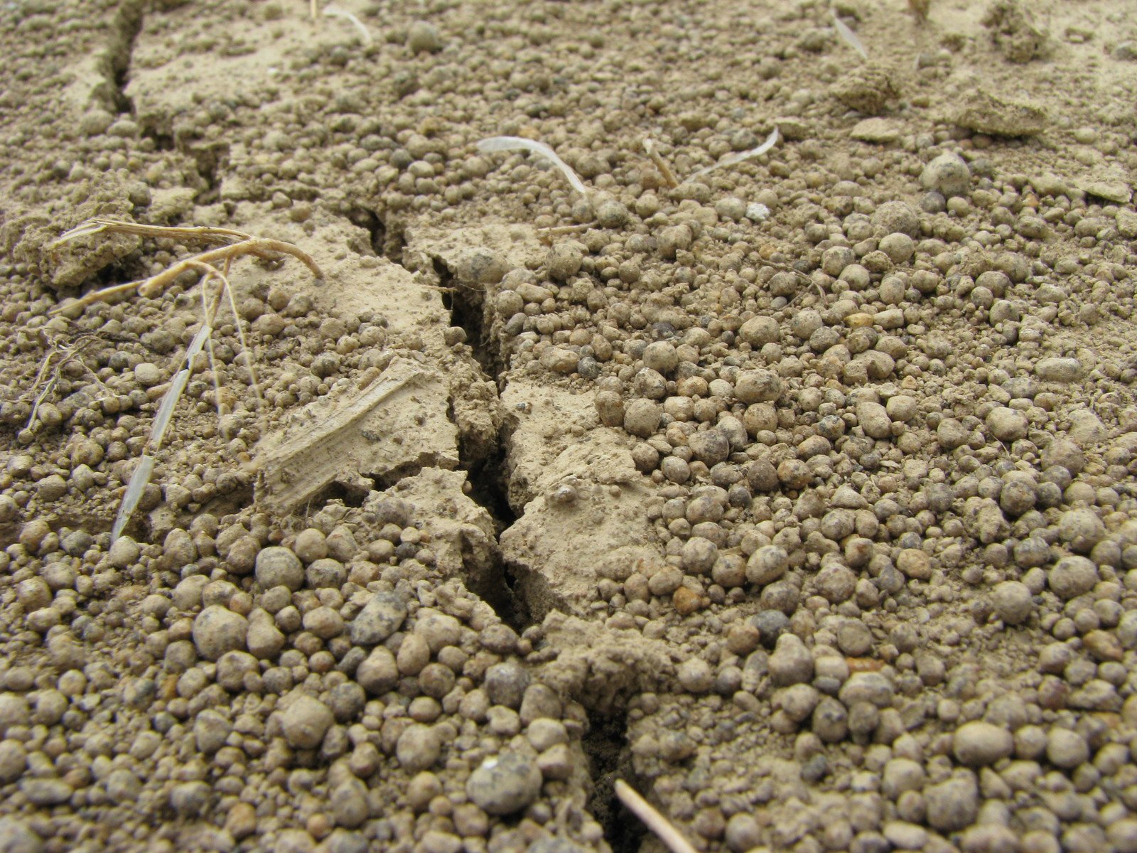 a dirt surface is full of small rocks