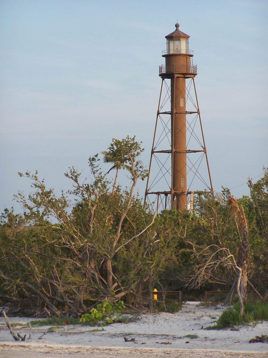 a large metal tower surrounded by lots of trees