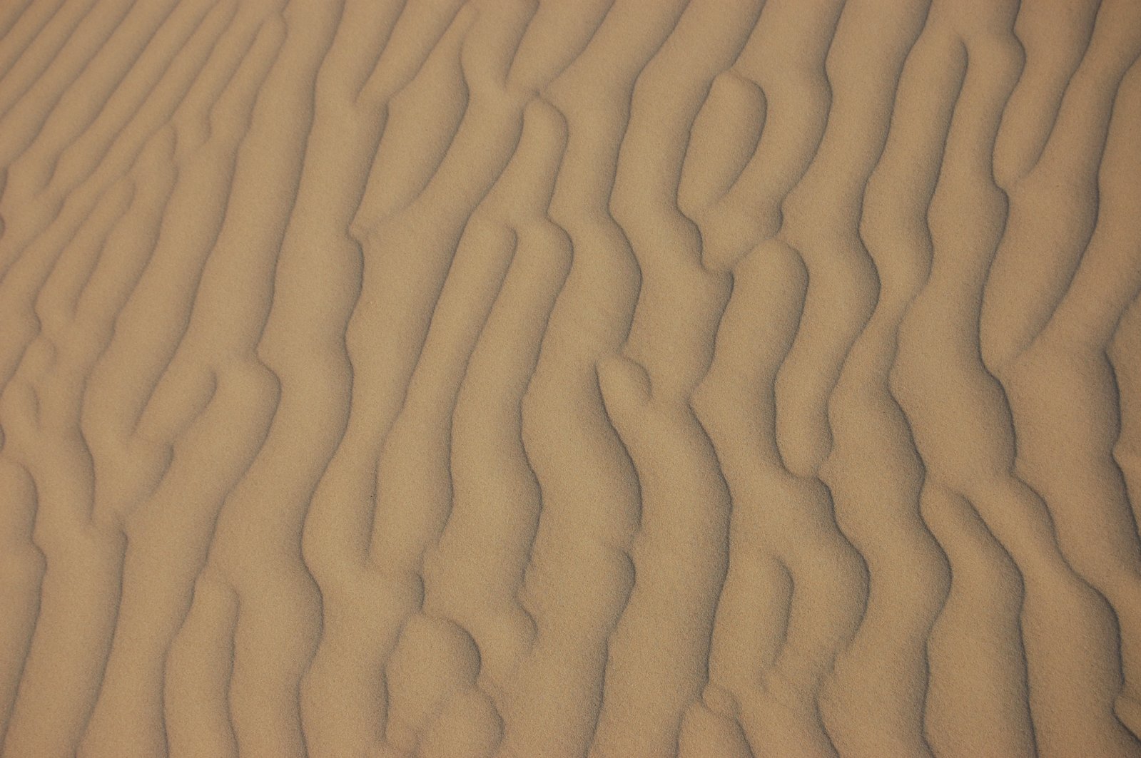 a textured sandy surface with ridges in the sand