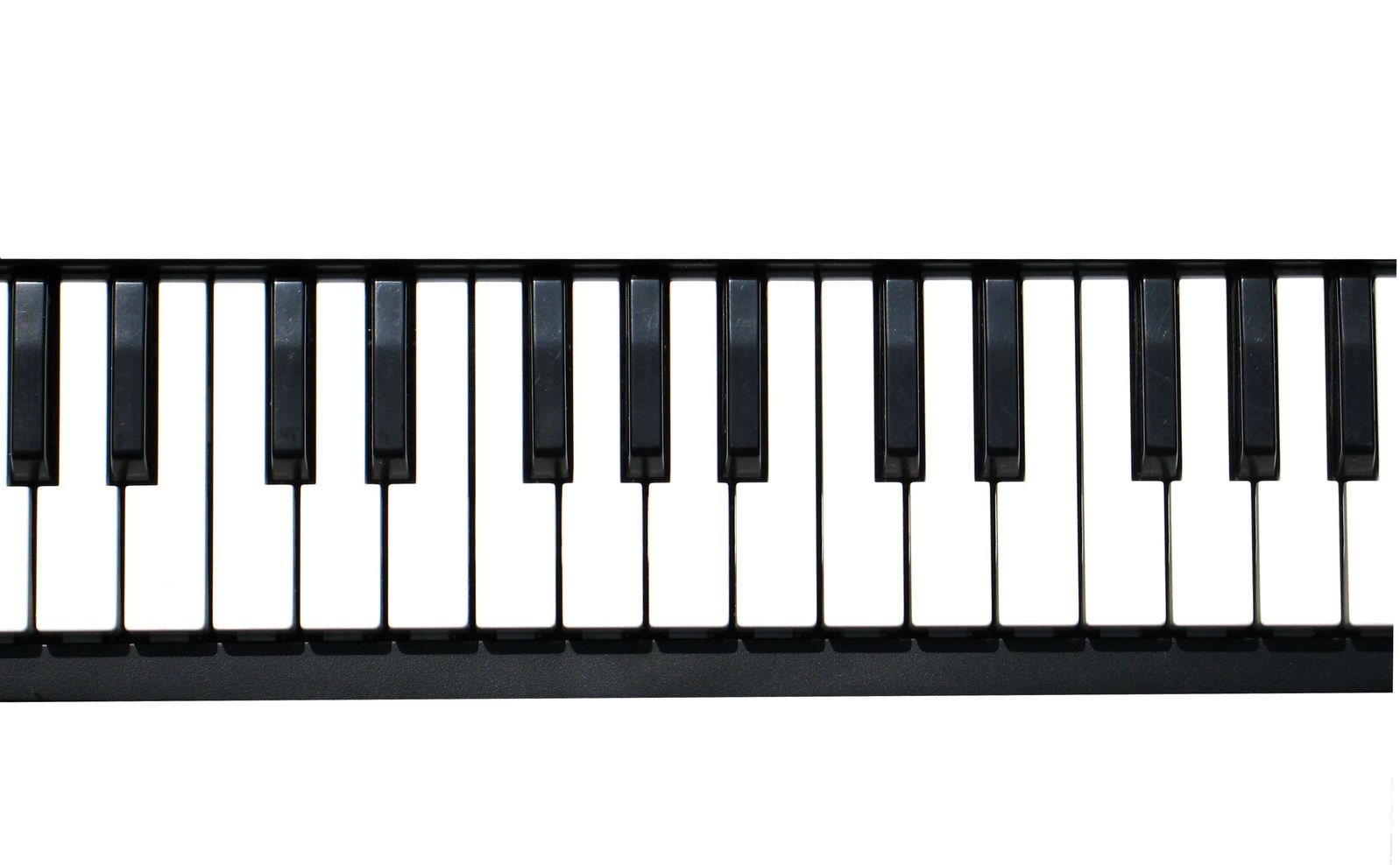 an accordion piano has black keys and white background