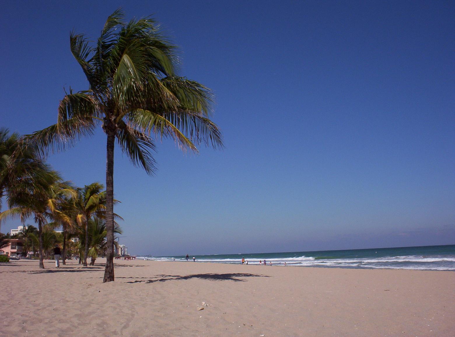 people walking on the beach in front of palm trees