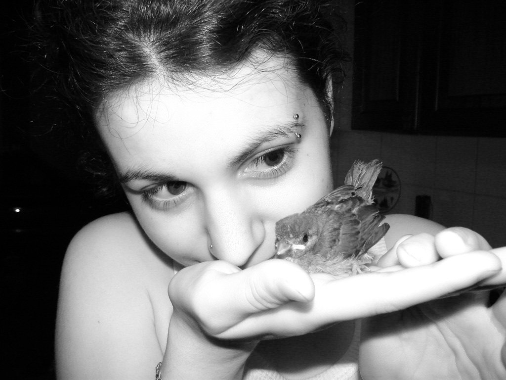 a little girl holds up a bird in her hands