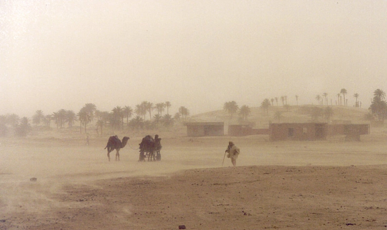 a dust storm with three horses and a person on the other side