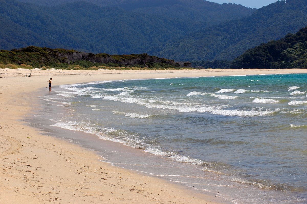 a man walking on the beach carrying a surf board