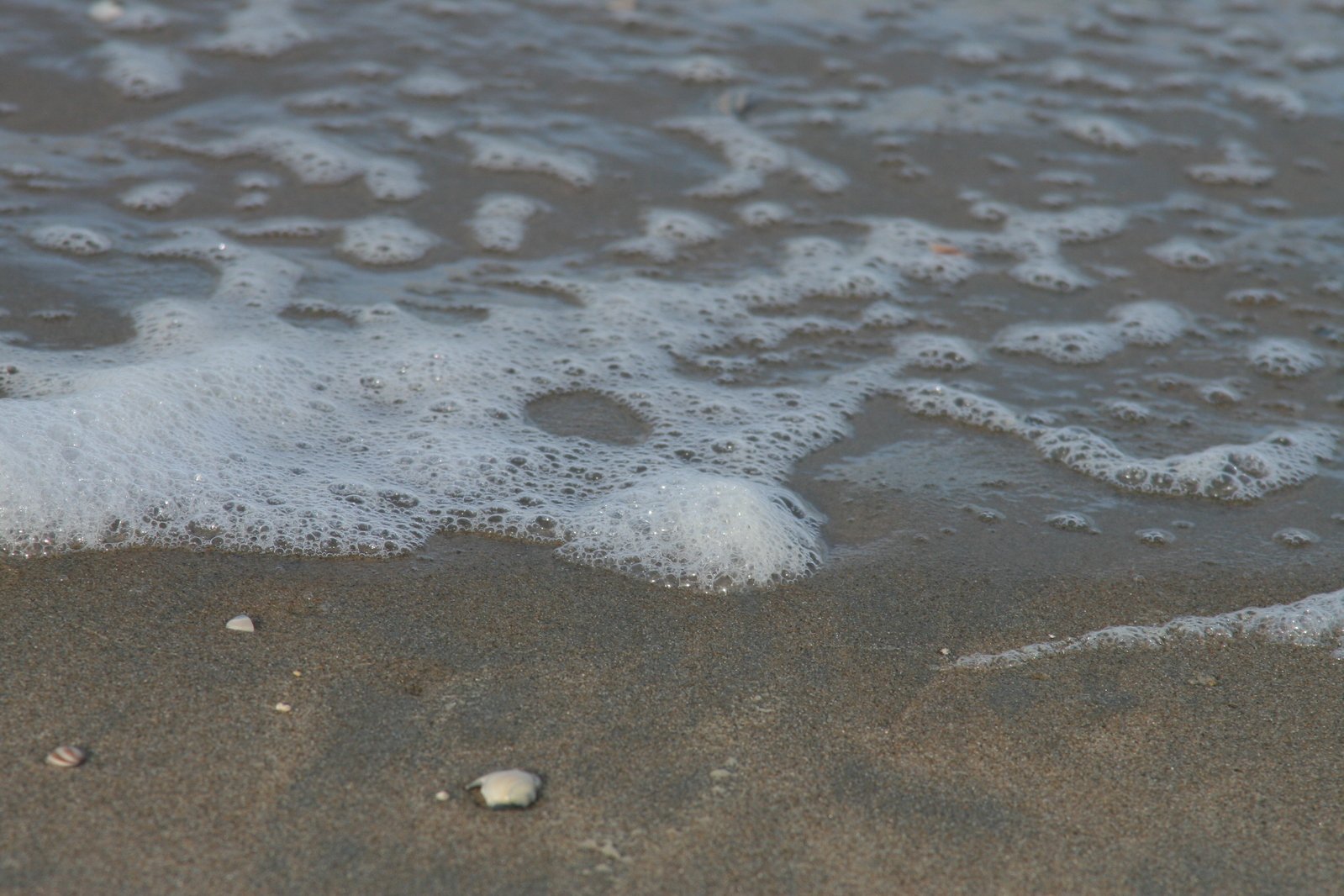 there are tiny bubbles coming from the water in the beach