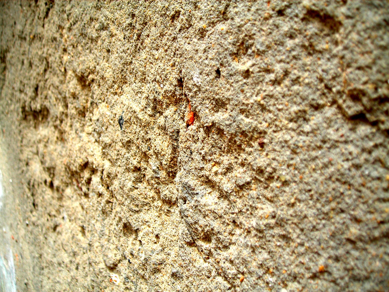 a stone wall with a small insect on it