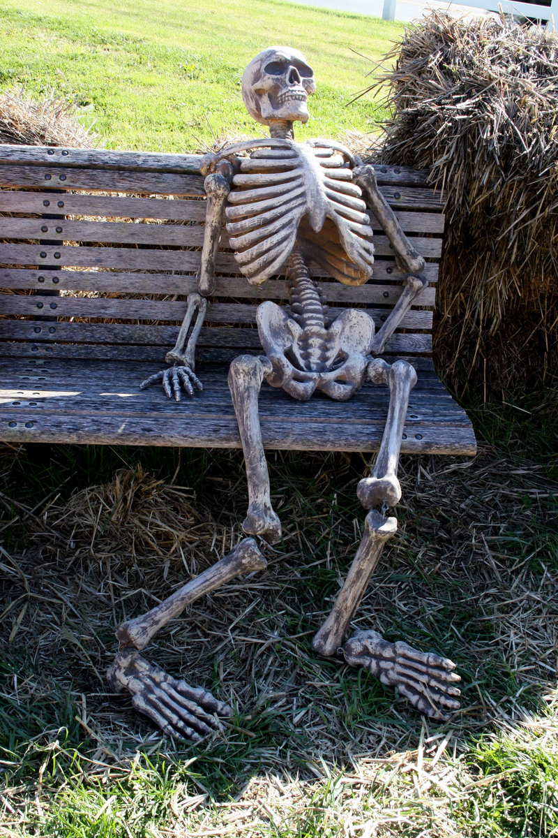 two skeleton sit on a park bench together