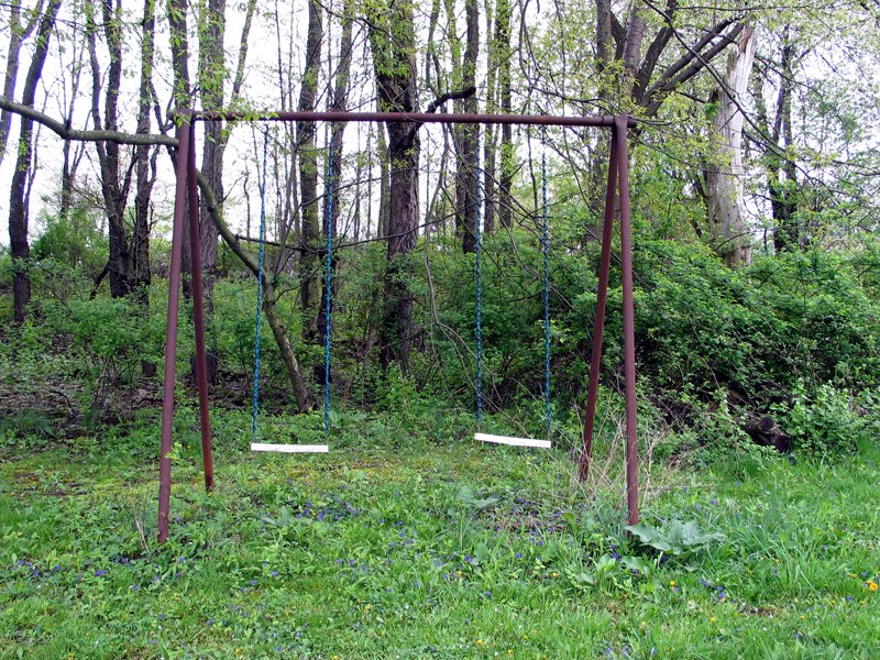 a rusty swing set in the grass with trees behind it