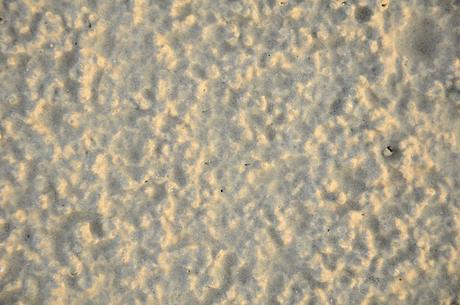 light brown and dark tan colors on the cement