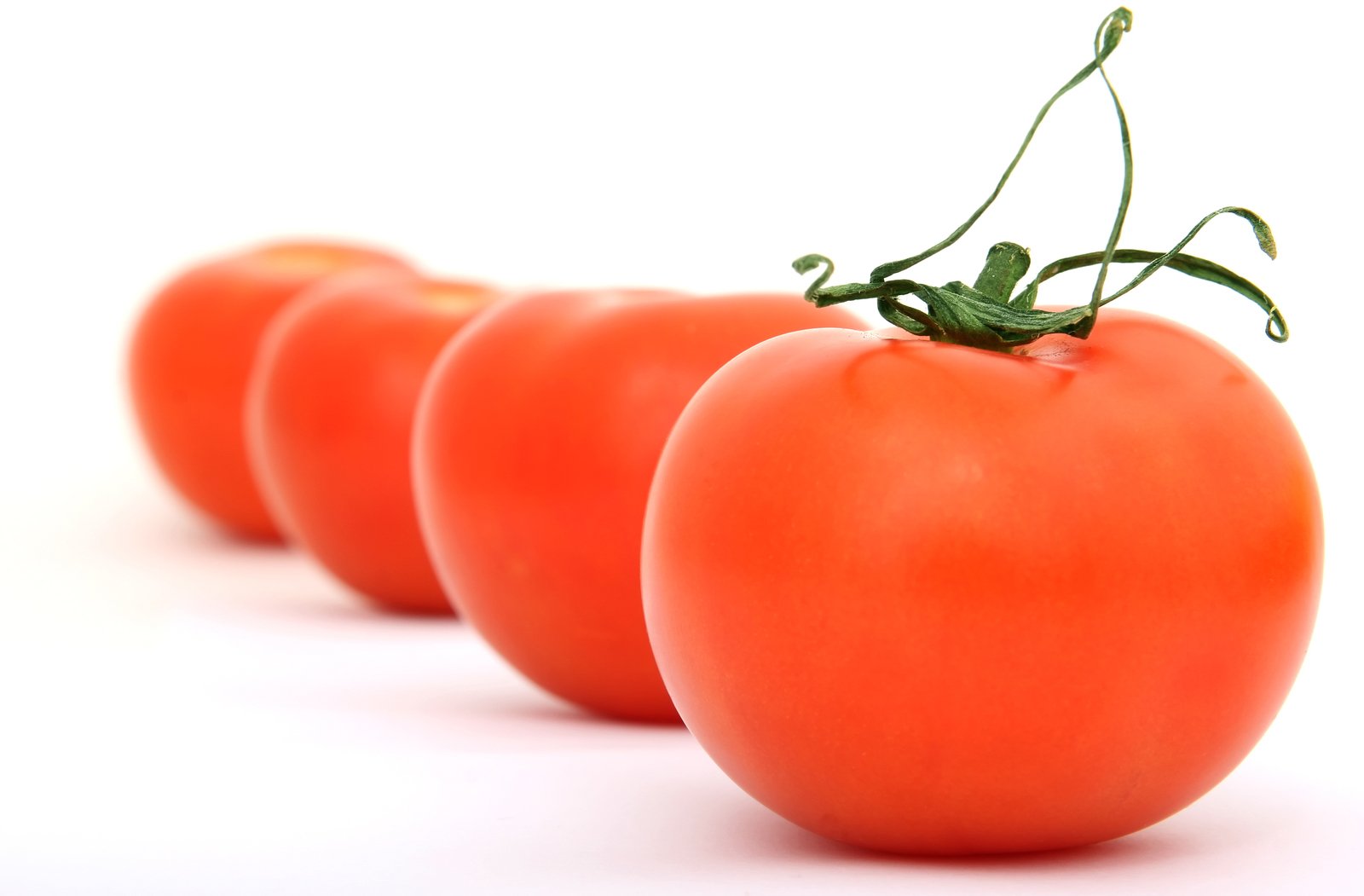 some red tomatoes sit in row on the table